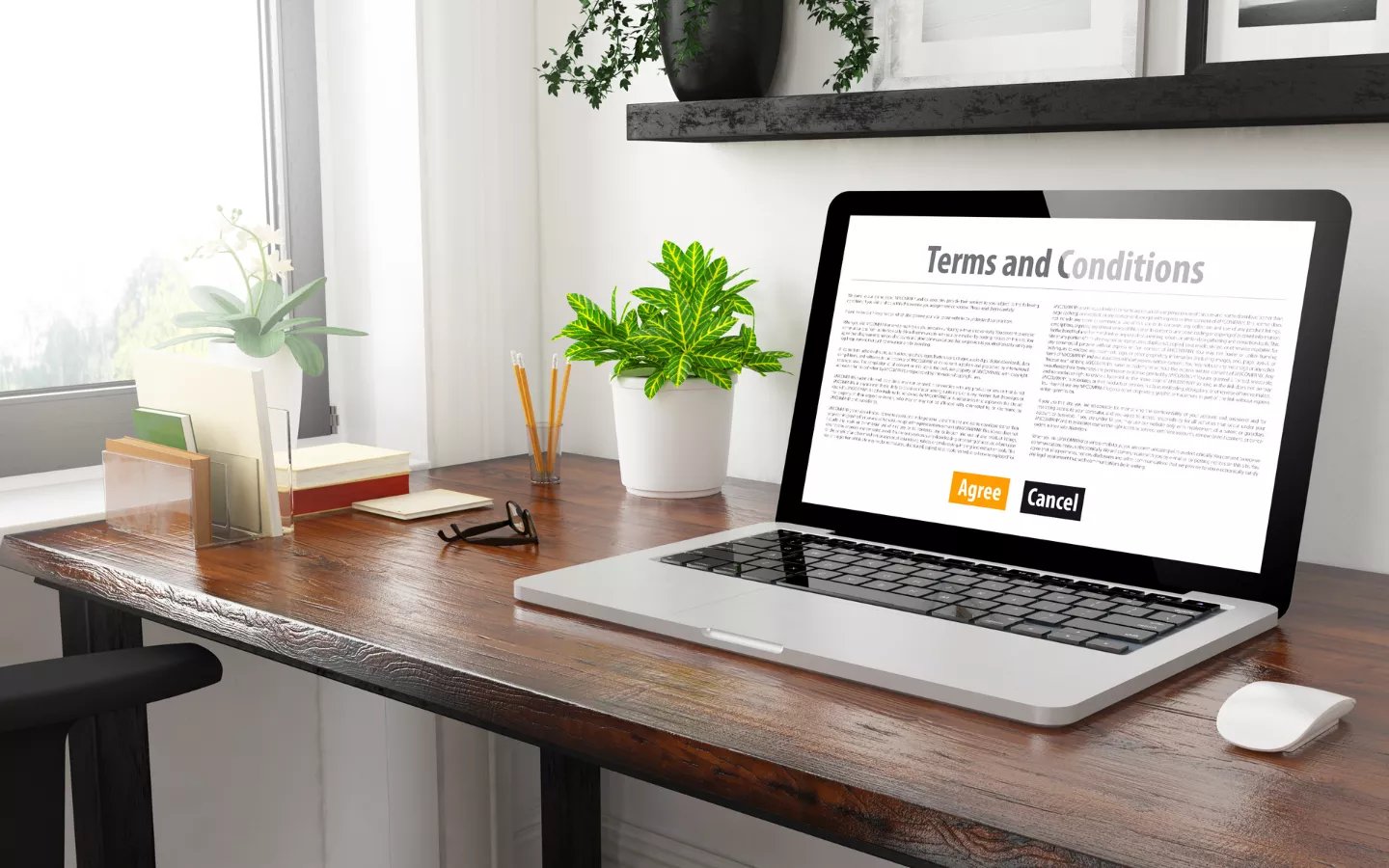 Terms and Conditions